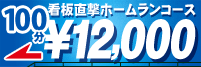 「ホームランコース」100分 ￥12,000